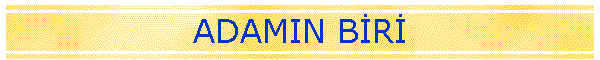 ADAMIN BR