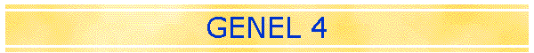 GENEL 4