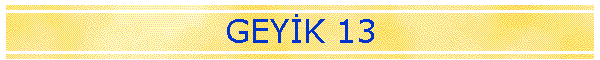 GEYK 13
