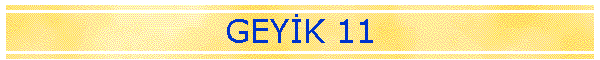 GEYK 11