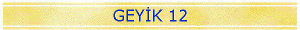 GEYK 12