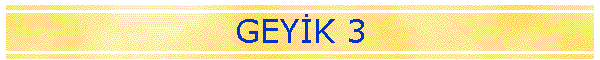 GEYK 3