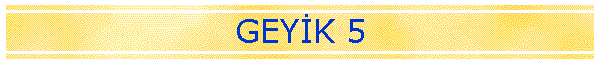 GEYK 5