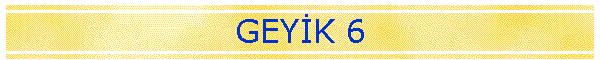 GEYK 6