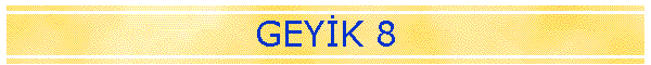 GEYK 8