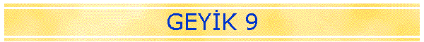 GEYK 9